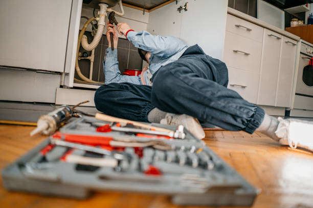 Best Plumbing Services Near Me  in Fort Defiance, AZ
