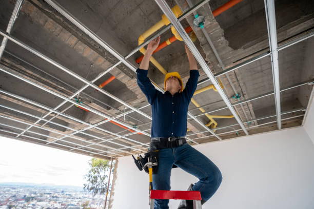 Best Local Plumber Services  in Fort Defiance, AZ