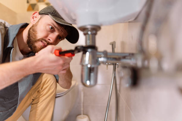 Best Commercial Plumbing Services  in Fort Defiance, AZ